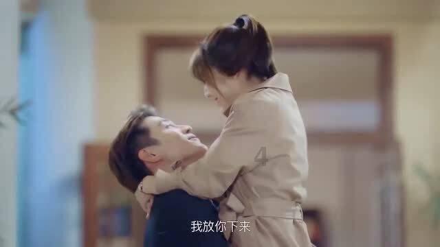 救援狗与猫