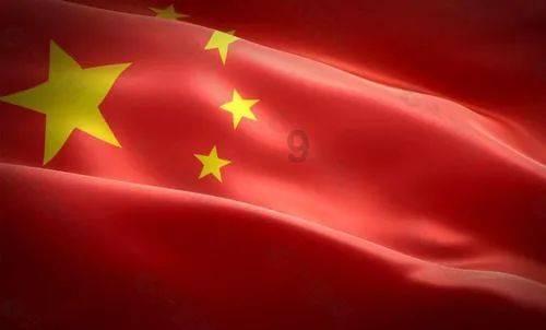 救援贪玩的大象